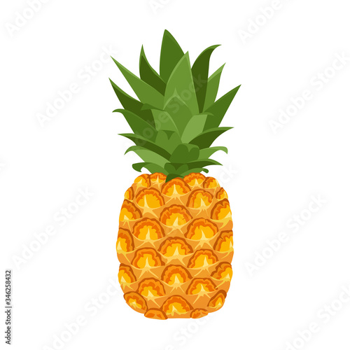 Pineapple isolated on a white background. Vector illustration of tropical fruit in cartoon flat style.