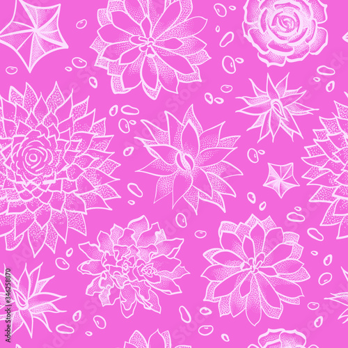 sacculents seamless pattern  floral background