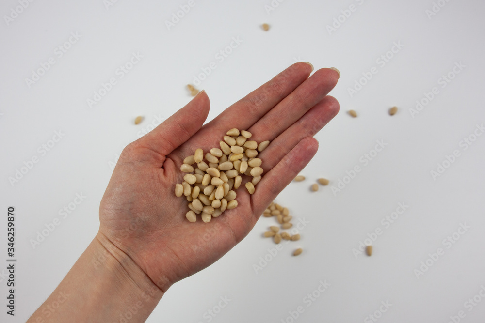 pine nuts in an open hand on a white background. Healthy lifestyle. pine nuts in an open hand on a white background. Healthy lifestyle.