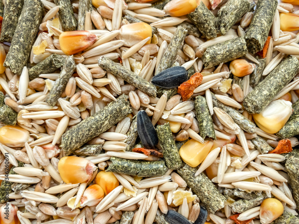 The texture of food for rodents from oats, grass pellets, animal feed, corn, wheat.