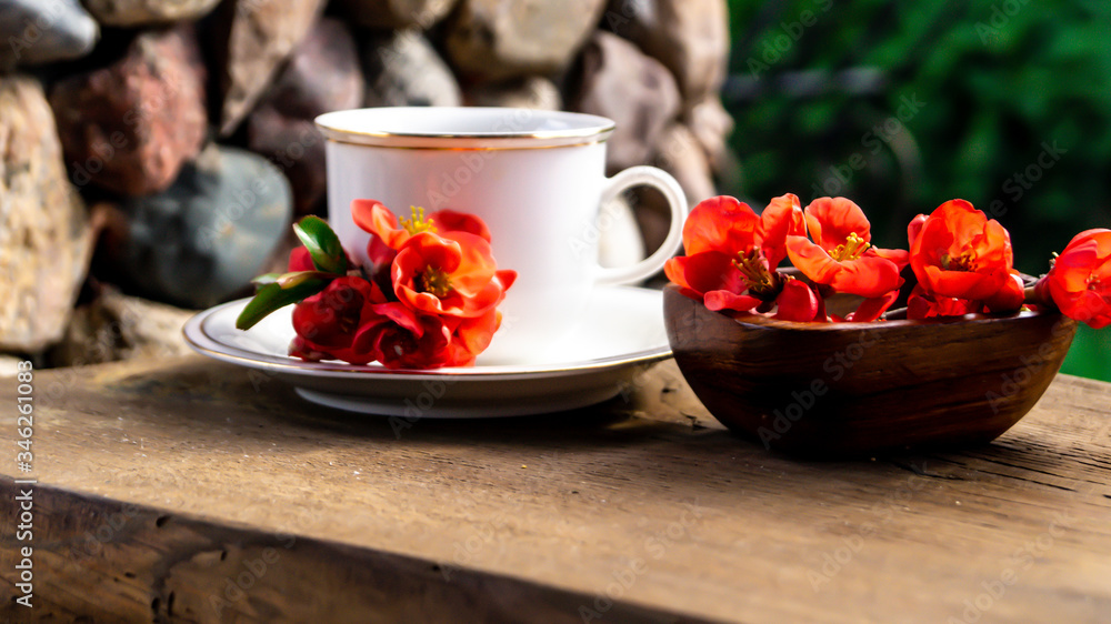 white porcelain cup with tea and red quince flowers on a wooden table in the garden white porcelain cup with tea and red quince flowers on a wooden table in the garden