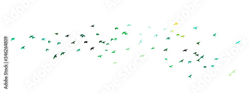 Multi-colored birds. A flock of flying rainbow birds. A lot of soaring birds. Mixed media. Vector illustration
