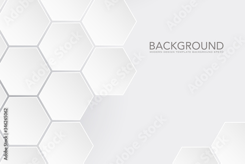 Modern white hexagon design on white background, vector illustration - Vector

