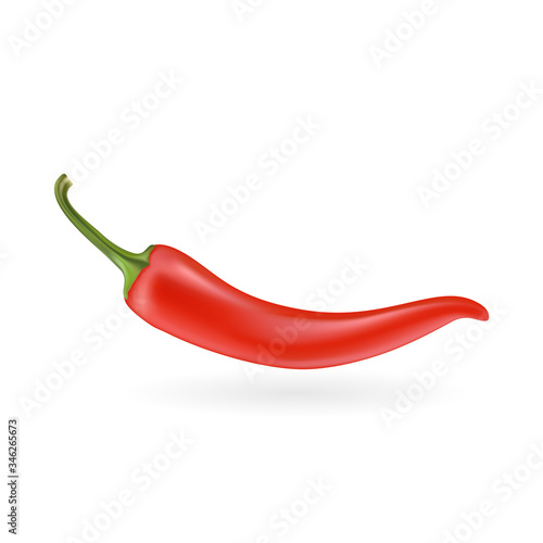 Red hot chilli pepper, vector design isolated on white background.