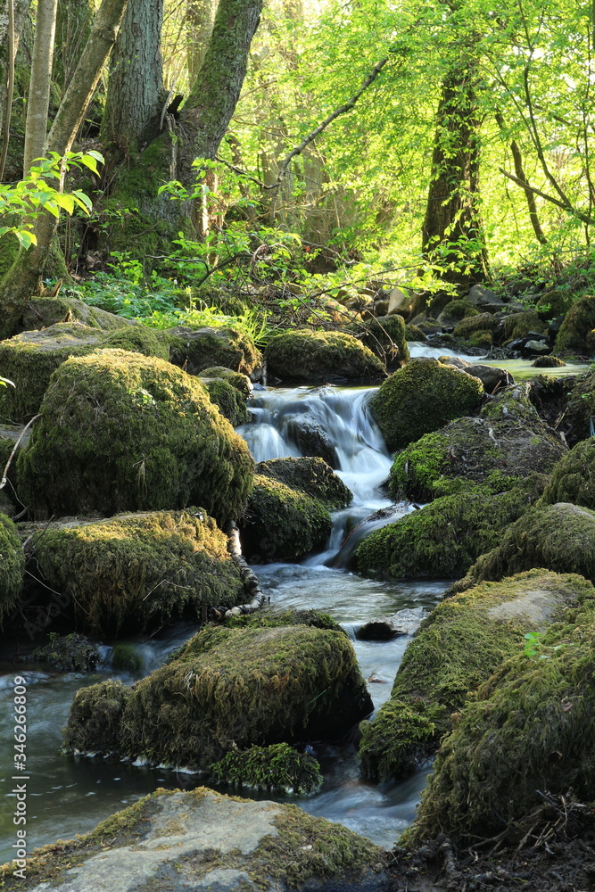 Der Schächerbach bei Homberg (Ohm) Der Schächerbach bei Homberg (Ohm)