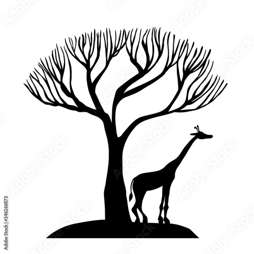 Safari giraffe under the tree. Vector illustration