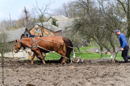 Man ploughing the field with horses © Art_man