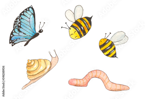 Watercolor illustration. A set consisting of a blue butterfly, a snail, a worm and bees.
