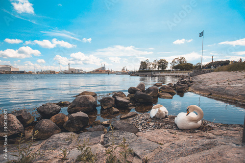 Landscape of a channel in Denmark where there are two swans