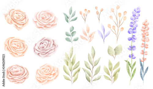Watercolor spring flower collection