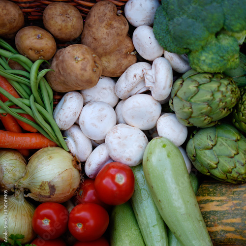 Basket of vegetables fresh from a garden.