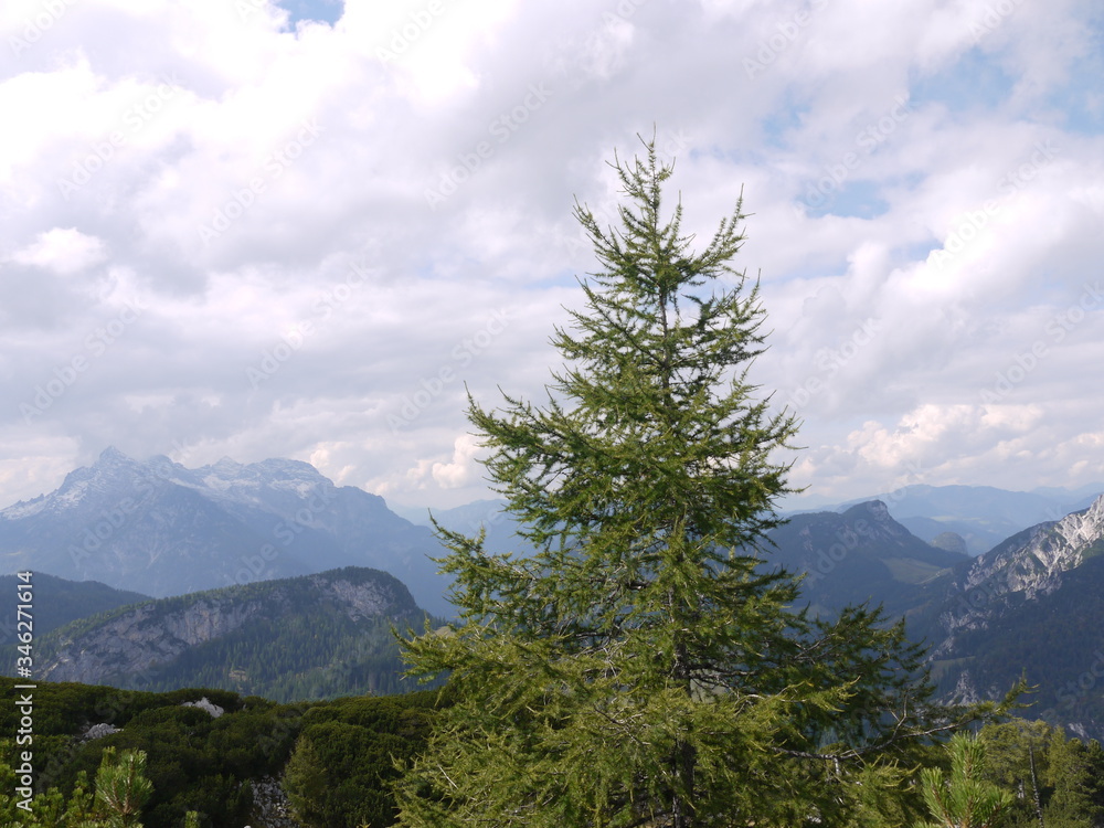 In den Alpen In den Alpen