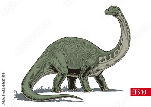 Brontosaurus or diplodocus dinosaur  comic style vector illustration