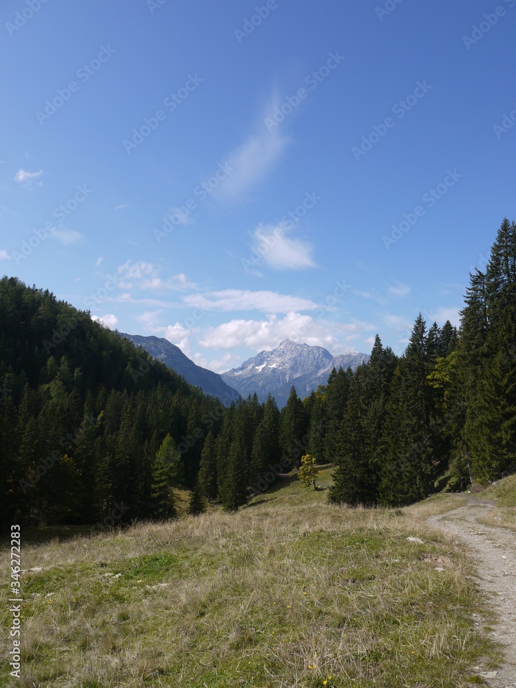 In den Alpen