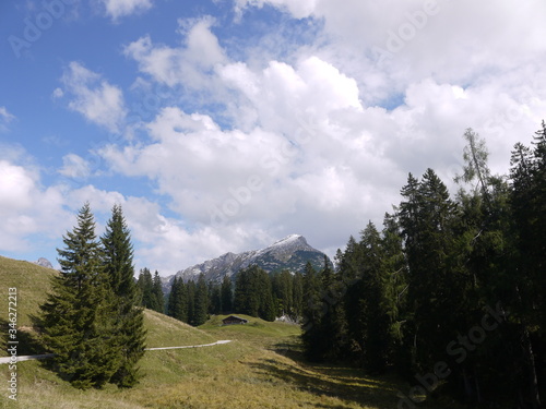 In den Alpen photo