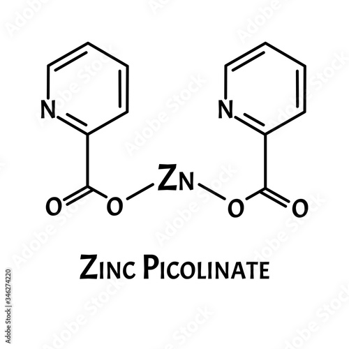 Zinc picolinate molecular chemical formula. Zinc infographics. Vector illustration on isolated background.