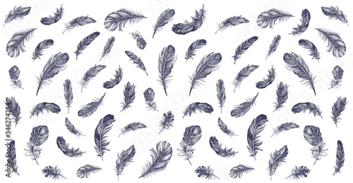 Vector Black and White Feather Pattern. Feather icon set. Hand drawn illustration. Doodle sketch.