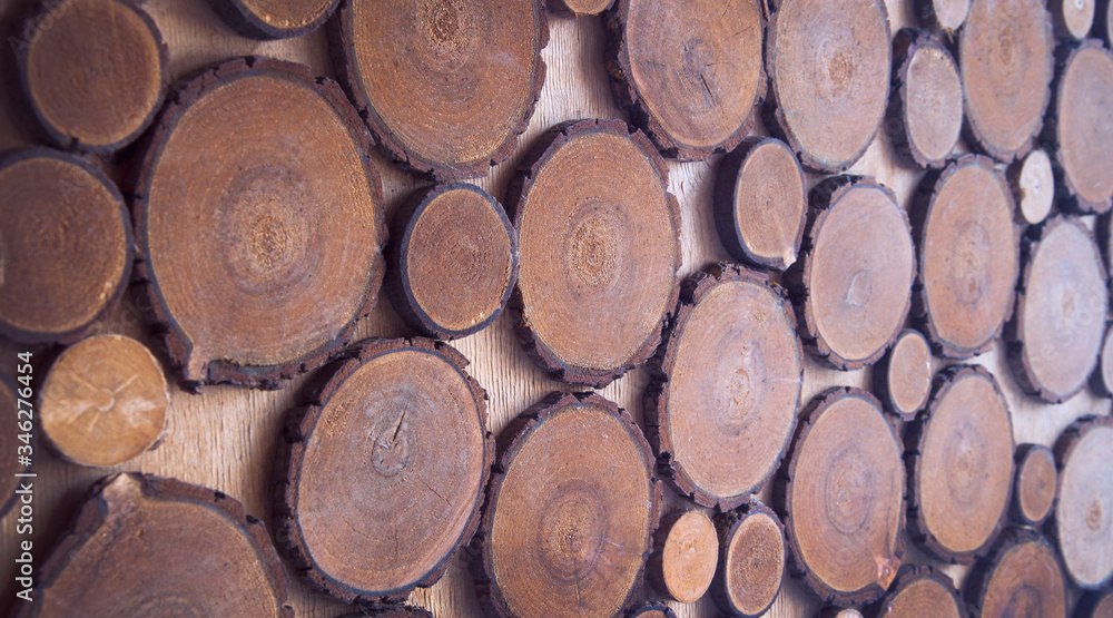 Wooden slices with bark. Bars of a tree with bark.
