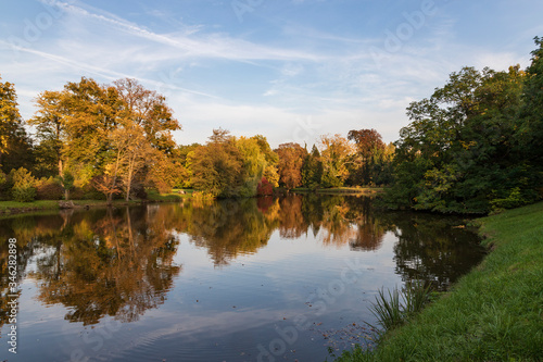 Pond and beautiful park in the afternoon sun.