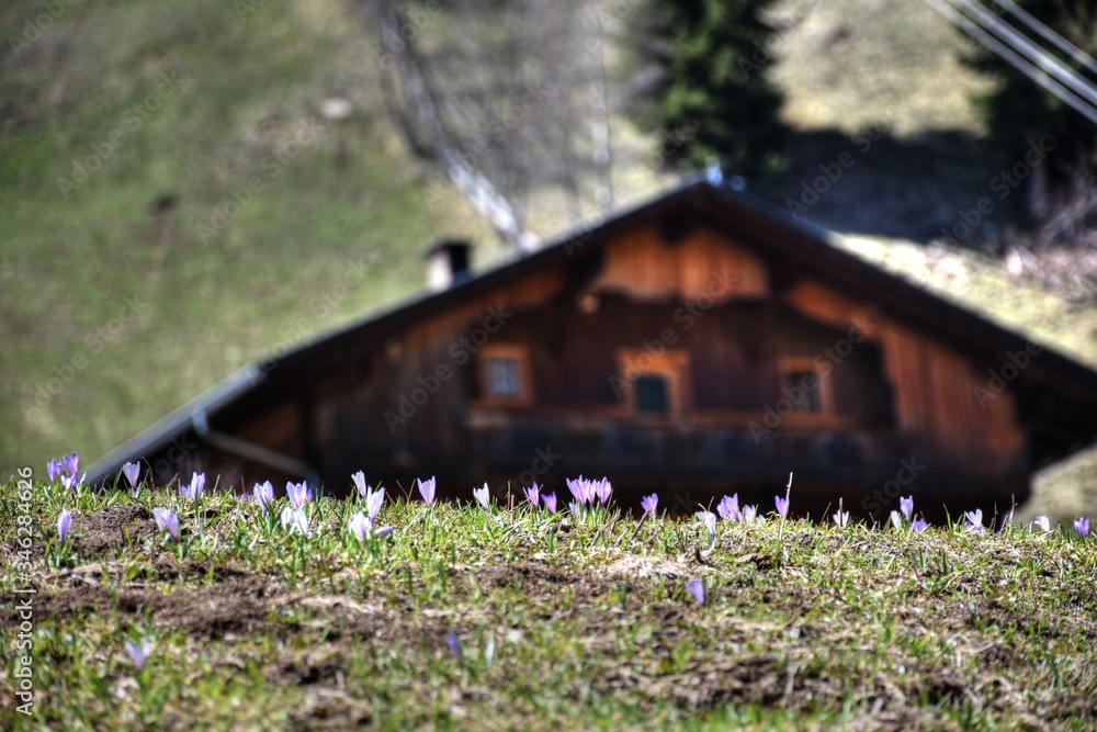 Φωτογραφία Osttirol, Villgraten, Innervillgraten, Villgratental, Lienz, Pustertal, Arntal,