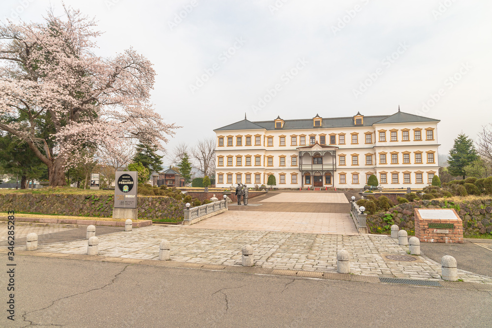 Fototapeta premium spring in the park
