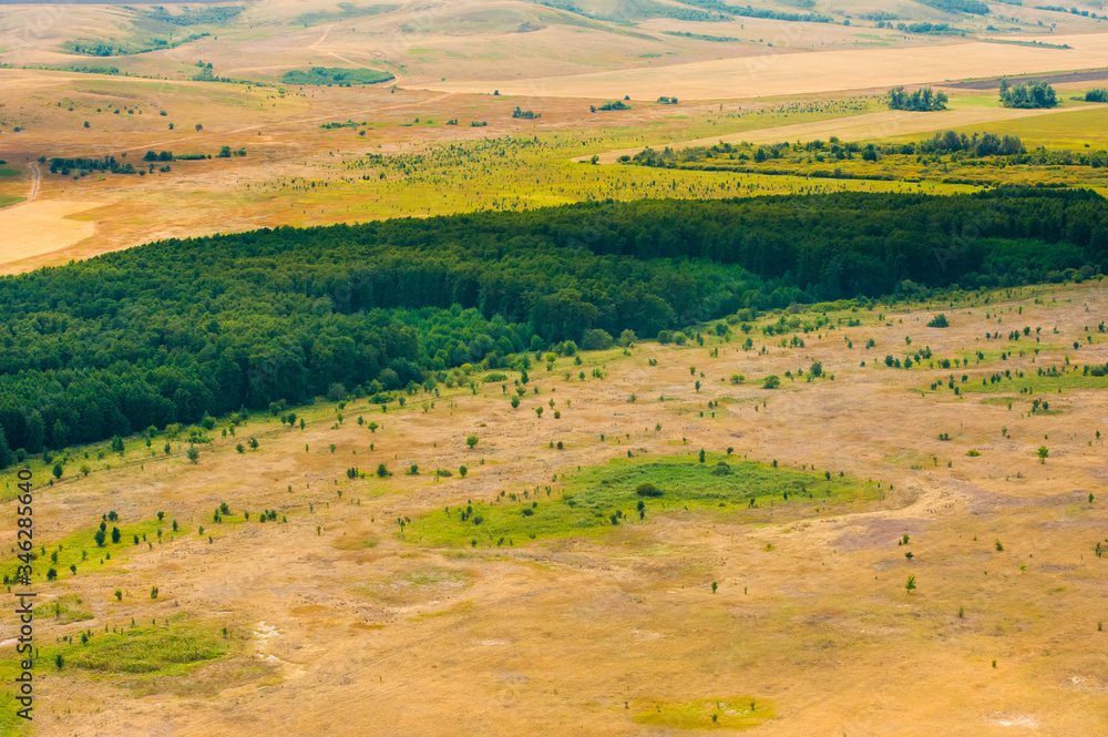 Fields and meadows. Aerial view. Landscape.