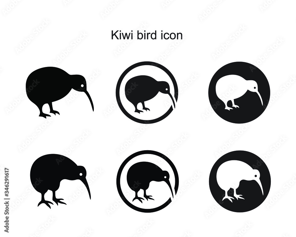 Kiwi bird icon Kiwi bird icon