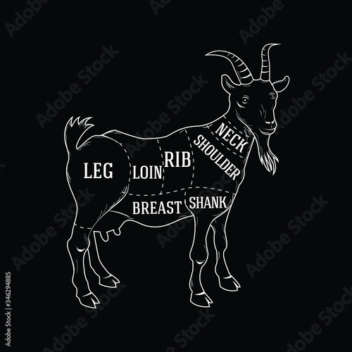 Vector butcher guide for cutting goat
