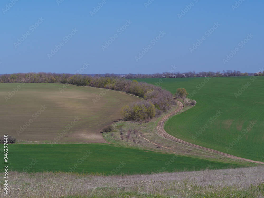 View of farm fields from a height. Spring view of farm fields