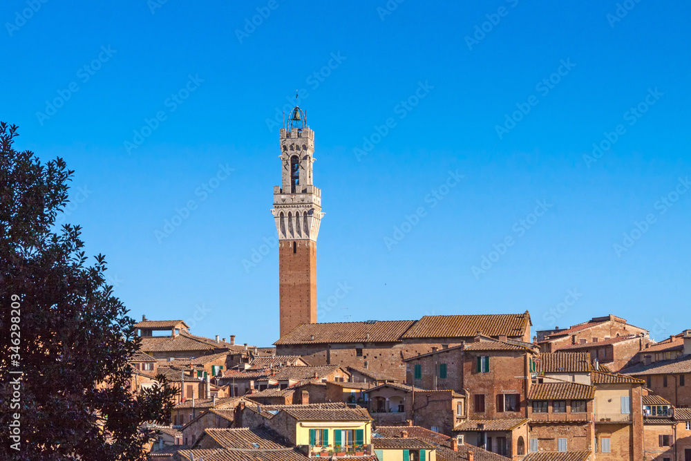 Blick auf die Altstadt von Siena mit dem Torre del Mangia
