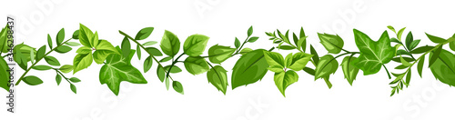 Vector horizontal seamless border with various green leaves. © naddya
