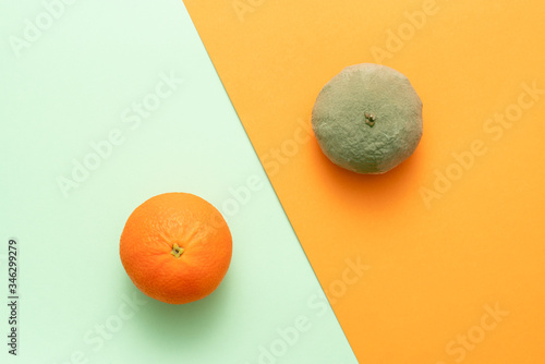 Comparing rotting orange with good one. Concept of defect or disease or stupidity vs normal. Flat lay top view. photo