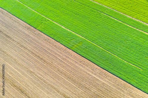 an agricultural landscape texture from above