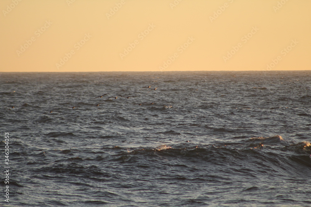 Obraz premium mar abierto