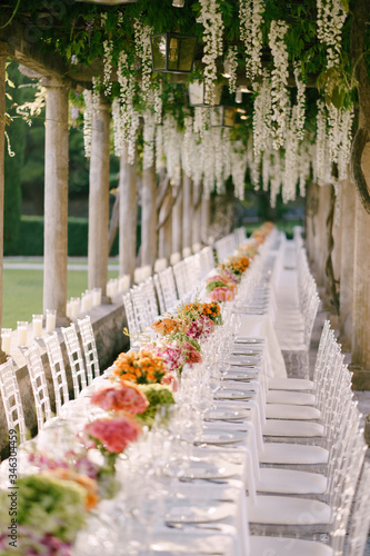 Wedding dinner table reception. A very long table for guests with a white tablecloth  floral arrangements  glass plastic transparent chairs Chiavari. Under the old columns with vines of wisteria.