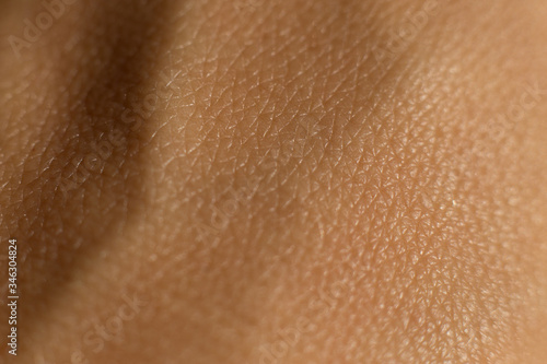 
Skin texture. Macro close-up shot of skin