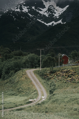 road in the mountains