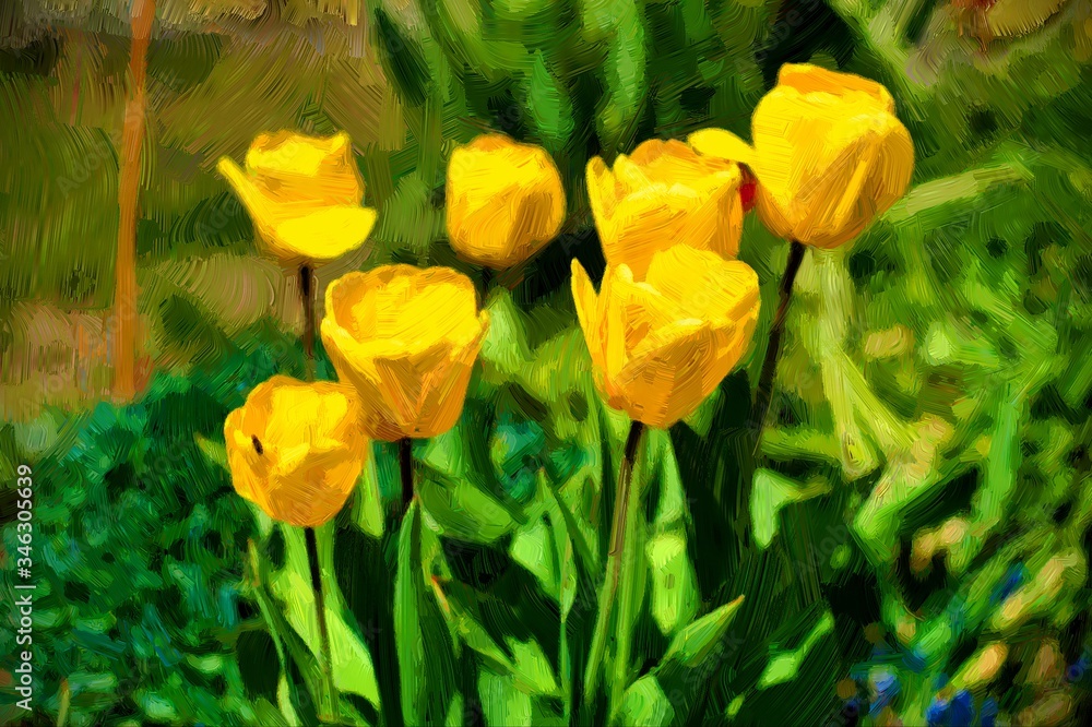 Fototapeta premium Oil paintings landscape, yellow tulips in the garden