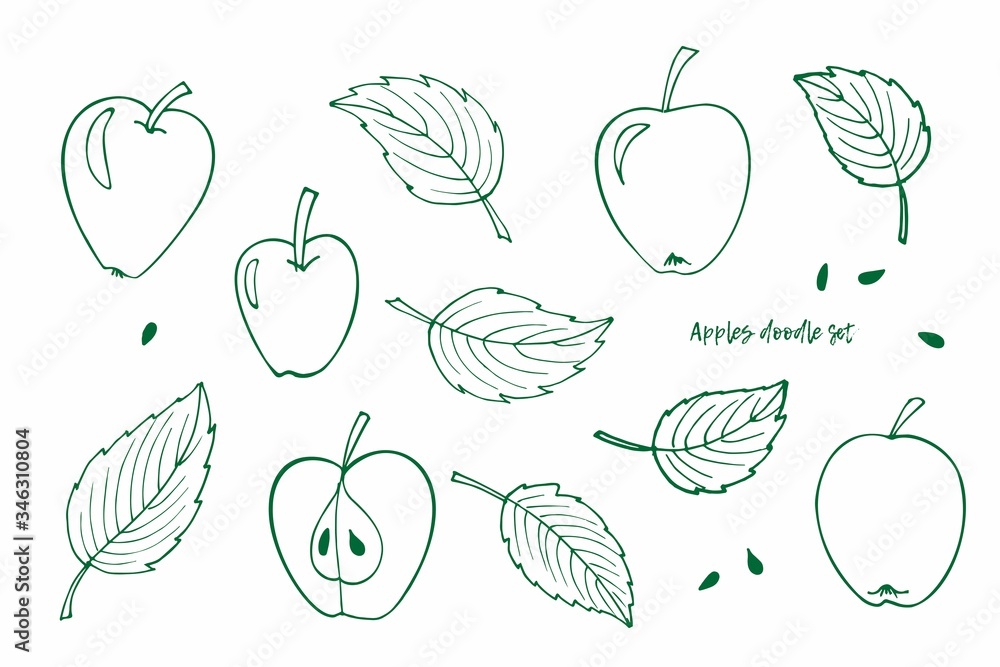 Vector clipart set of Apples and Leaves. Green Doodle sketch illustration. Whole apple, half apple, leaves, seeds. Perfect for packaging, scrapbooking, party design, logo, wrapping, invitation, card Vector clipart set of Apples and Leaves. Green Doodle sketch illustration. Whole apple, half apple, leaves, seeds. Perfect for packaging, scrapbooking, party design, logo, wrapping, invitation, card