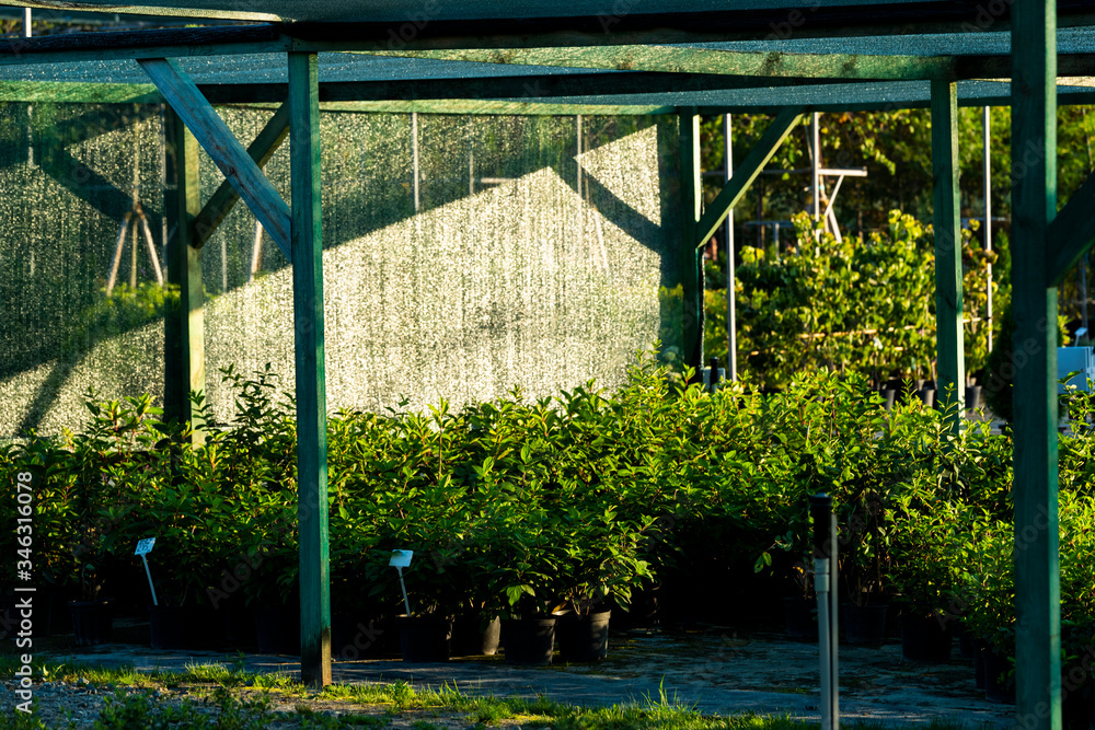 frame for plants with a grid for creating flowers in the garden center frame for plants with a grid for creating flowers in the garden center