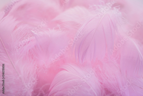 Abstract background. Pink downy feathers.