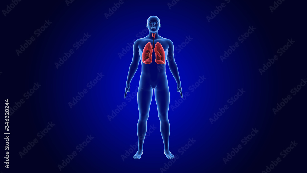 Covid 19, 2019 Ncov, Coronavirus Outbreak, Virus Floating in a Cellular Environment, Close up Virus Background, Viral Epidemic, 3D Rendering of Virus and Organism. Covid 19, 2019 Ncov, Coronavirus Outbreak, Virus Floating in a Cellular Environment, Close up Virus Background, Viral Epidemic, 3D Rendering of Virus and Organism.