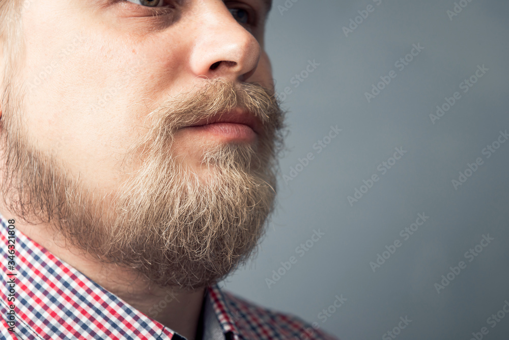 Fototapeta premium Close-up portrait of a young man with a blond beard. Scandinavian wild beard.