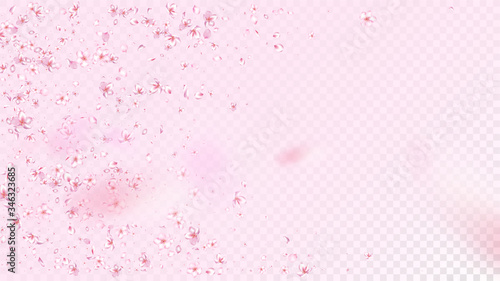 Nice Sakura Blossom Isolated Vector. Realistic Blowing 3d Petals Wedding Pattern. Japanese Nature Flowers Wallpaper. Valentine, Mother's Day Tender Nice Sakura Blossom Isolated on Rose