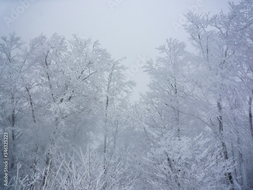 吹雪が吹くスキー場のゲレンデのイメージ © kanzilyou