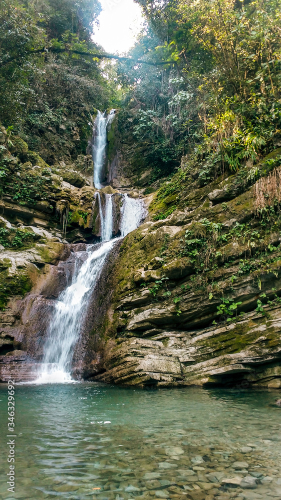 Fototapeta premium waterfall in the woods