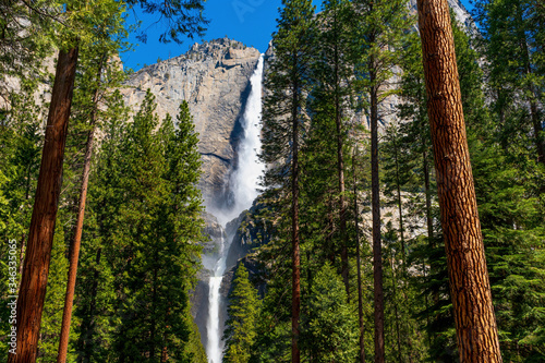 Fototapeta Naklejka Na Ścianę i Meble -  waterfall in yosemite
