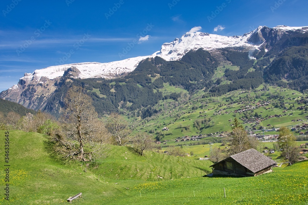 panoramic view of meadows and Alpine mountain in Switzerland