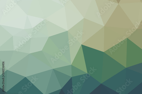 Multi color geometric triangular low poly background style