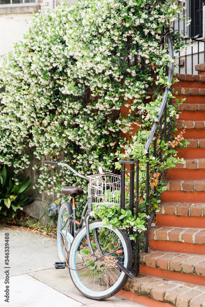 Fototapeta premium bicycle in the street
